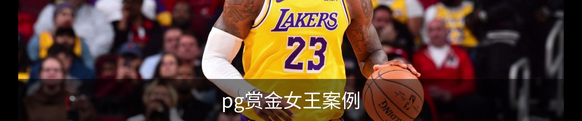 pg赏金女王案例